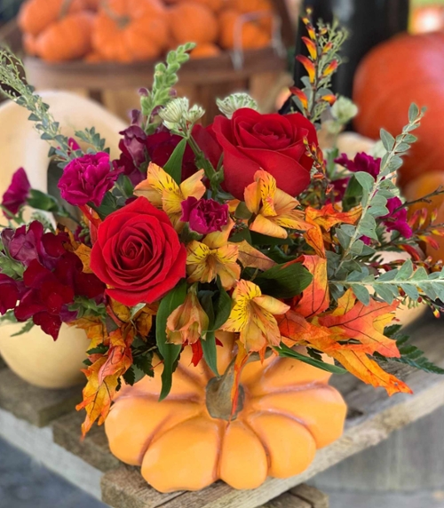 Hardy Mums & Fall Perennials